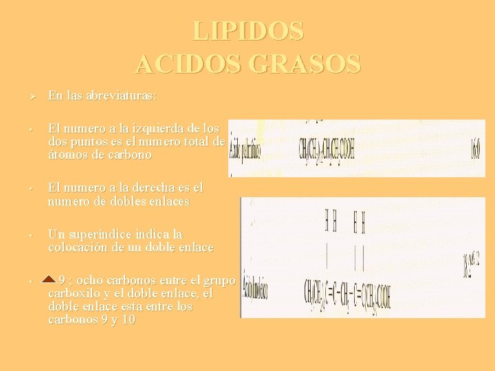 LIPIDOS ACIDOS GRASOS Ø • • En las abreviaturas: El numero a la izquierda