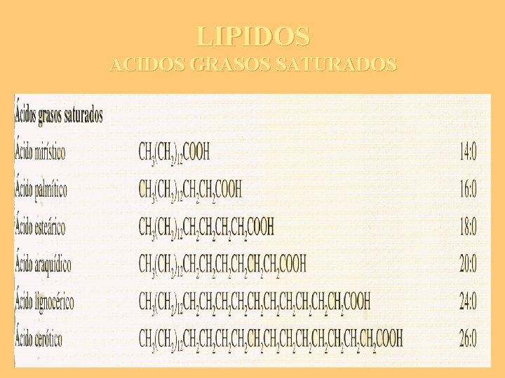 LIPIDOS ACIDOS GRASOS SATURADOS 