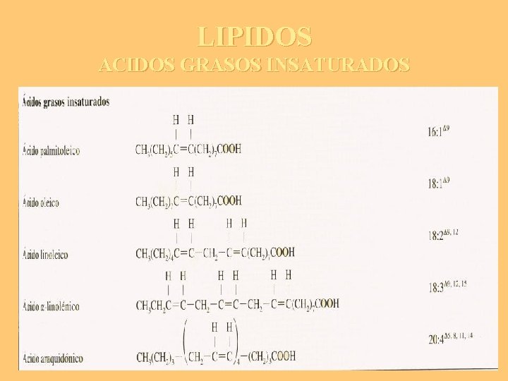 LIPIDOS ACIDOS GRASOS INSATURADOS 