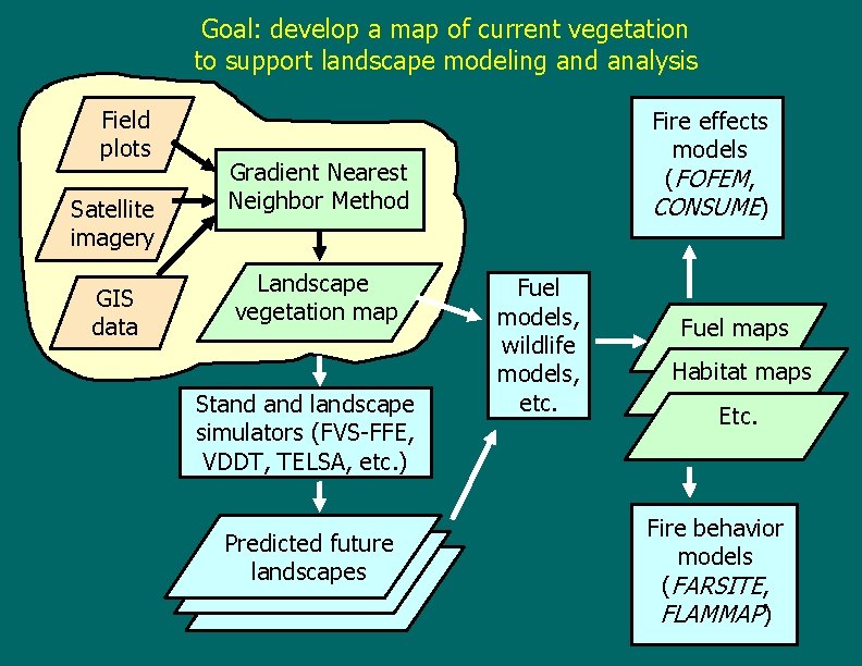 Goal: develop a map of current vegetation to support landscape modeling and analysis Field