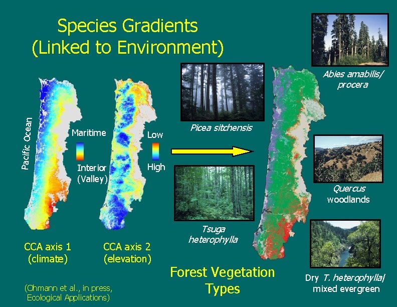 Species Gradients (Linked to Environment) Pacific Ocean Abies amabilis/ procera Maritime Low Interior (Valley)