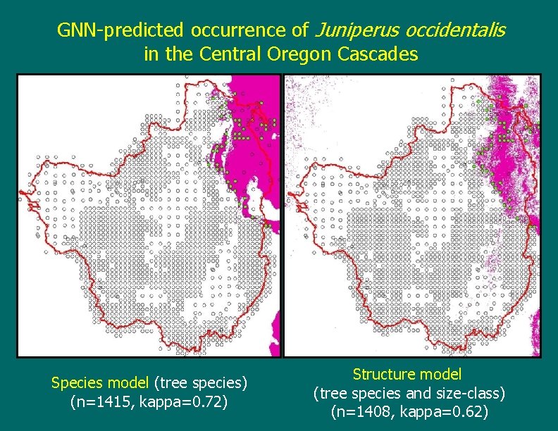 GNN-predicted occurrence of Juniperus occidentalis in the Central Oregon Cascades Species model (tree species)