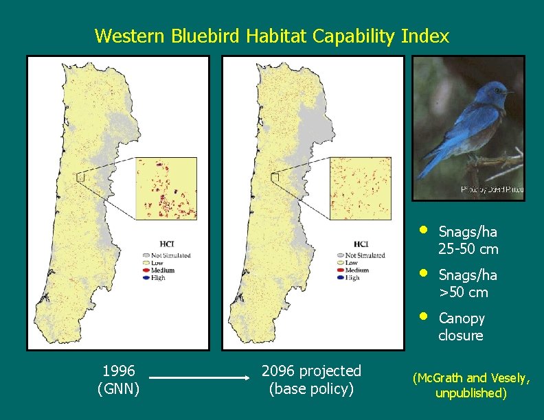 Western Bluebird Habitat Capability Index • • • 1996 (GNN) 2096 projected (base policy)