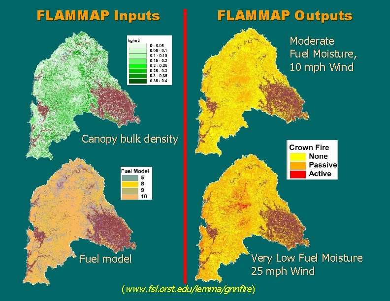FLAMMAP Inputs FLAMMAP Outputs Moderate Fuel Moisture, 10 mph Wind Canopy bulk density Fuel