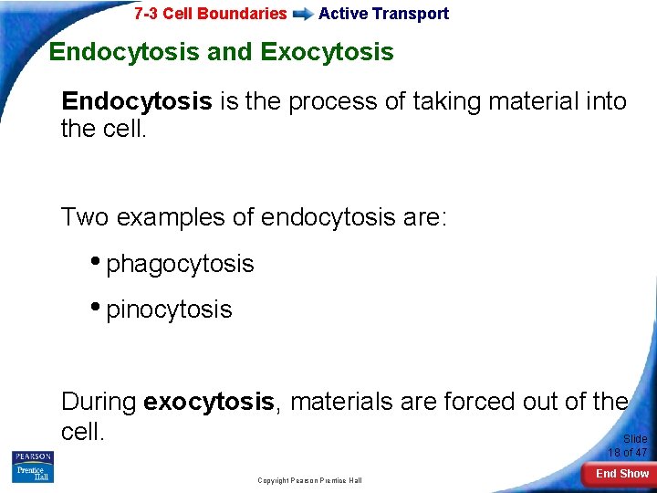 7 -3 Cell Boundaries Active Transport Endocytosis and Exocytosis Endocytosis is the process of