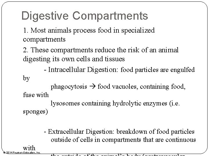 Digestive Compartments 1. Most animals process food in specialized compartments 2. These compartments reduce