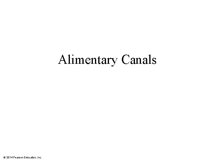 Alimentary Canals © 2014 Pearson Education, Inc. 