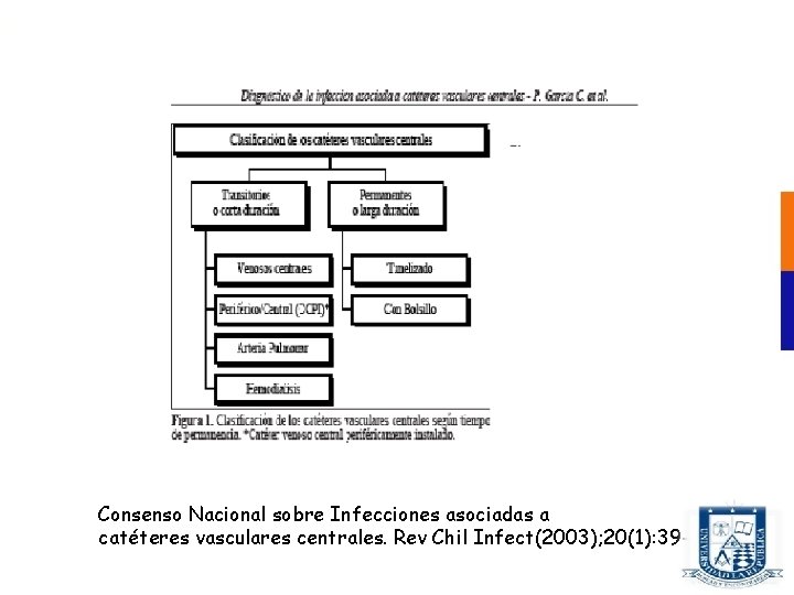 Consenso Nacional sobre Infecciones asociadas a catéteres vasculares centrales. Rev Chil Infect(2003); 20(1): 39