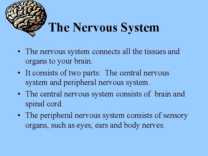 The Nervous System • The nervous system connects all the tissues and organs to