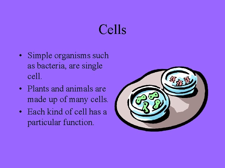 Cells • Simple organisms such as bacteria, are single cell. • Plants and animals