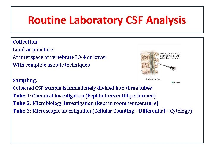 Routine Laboratory CSF Analysis Collection Lumbar puncture At interspace of vertebrate L 3 -4 Routine Laboratory CSF Analysis Collection Lumbar puncture At interspace of vertebrate L 3 -4