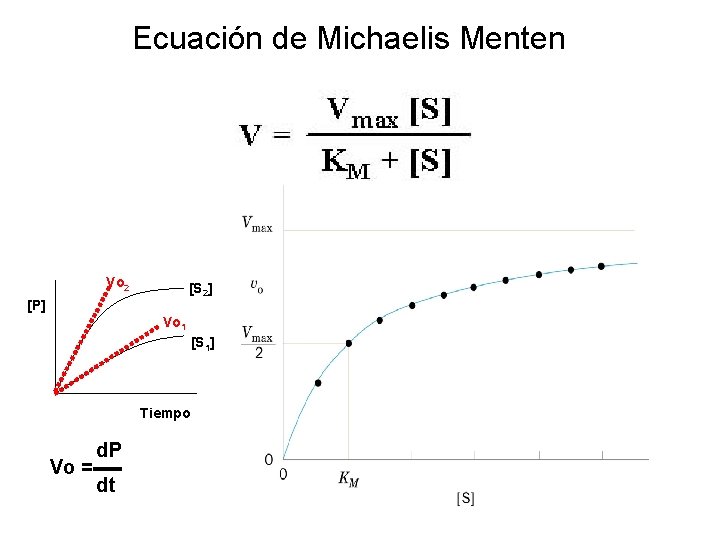 Ecuación de Michaelis Menten Vo 2 [S 2] [P] Vo 1 [S 1] Tiempo