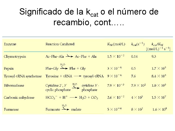 Significado de la kcat o el número de recambio, cont…. . 