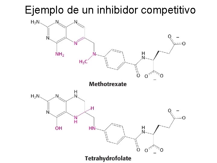 Ejemplo de un inhibidor competitivo 