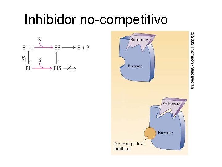 Inhibidor no-competitivo 