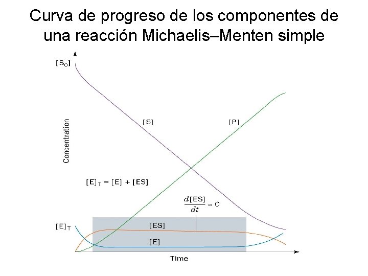 Curva de progreso de los componentes de una reacción Michaelis–Menten simple 