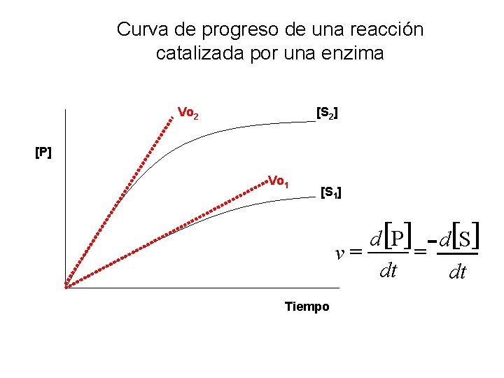 Curva de progreso de una reacción catalizada por una enzima Vo 2 [S 2]