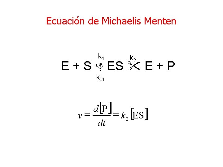 Ecuación de Michaelis Menten k 1 k 2 E + S E + P