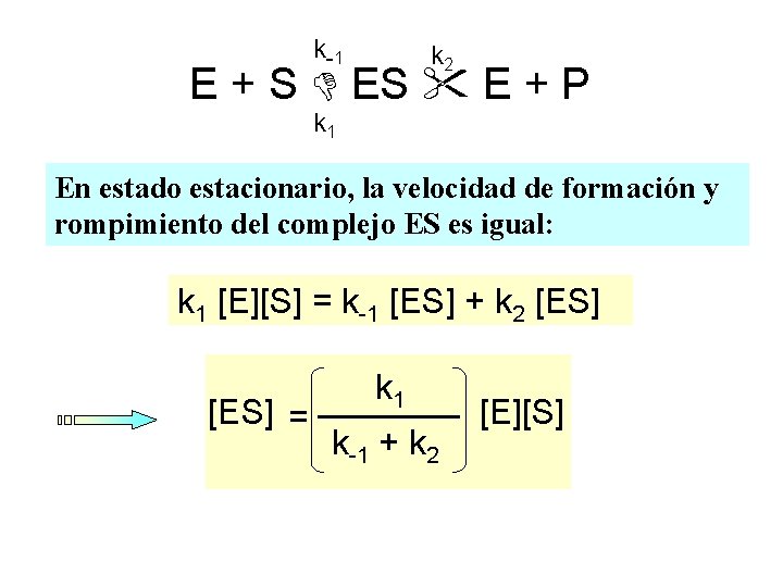 k-1 k 2 E + S E + P k 1 En estado estacionario,