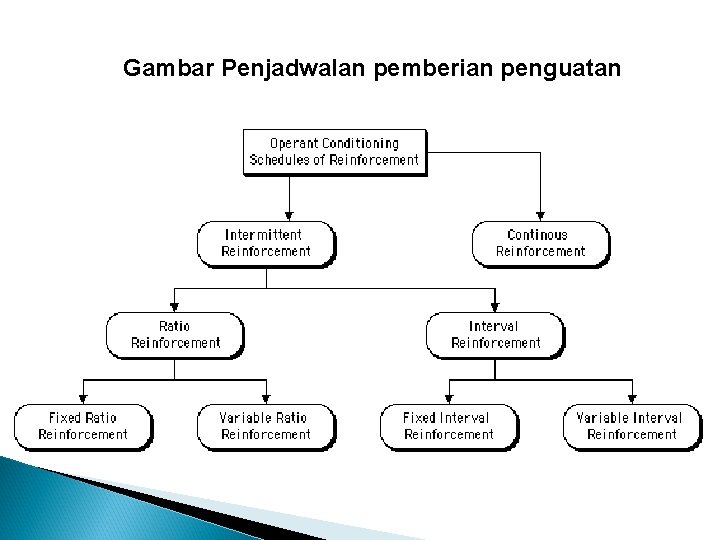 Gambar Penjadwalan pemberian penguatan 