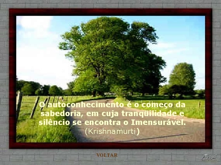 O autoconhecimento é o começo da sabedoria, em cuja tranqüilidade e silêncio se encontra