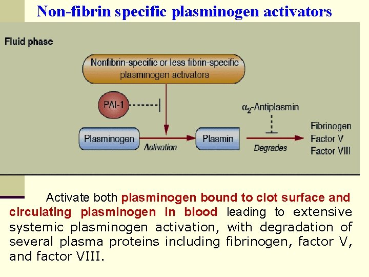 Non-fibrin specific plasminogen activators Activate both plasminogen bound to clot surface and circulating plasminogen