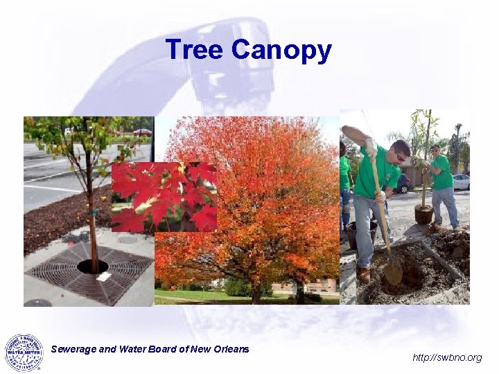 Tree Canopy Sewerage and Water Board of New Orleans http: //swbno. org 