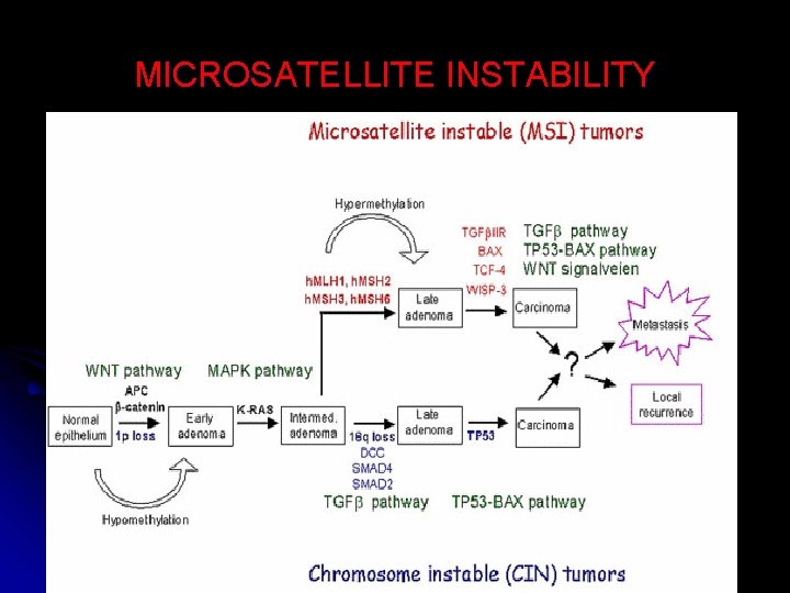 MICROSATELLITE INSTABILITY 