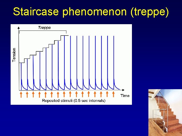 Staircase phenomenon (treppe) 