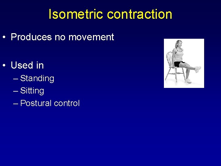 Isometric contraction • Produces no movement • Used in – Standing – Sitting –