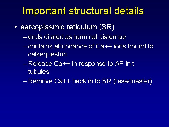 Important structural details • sarcoplasmic reticulum (SR) – ends dilated as terminal cisternae –