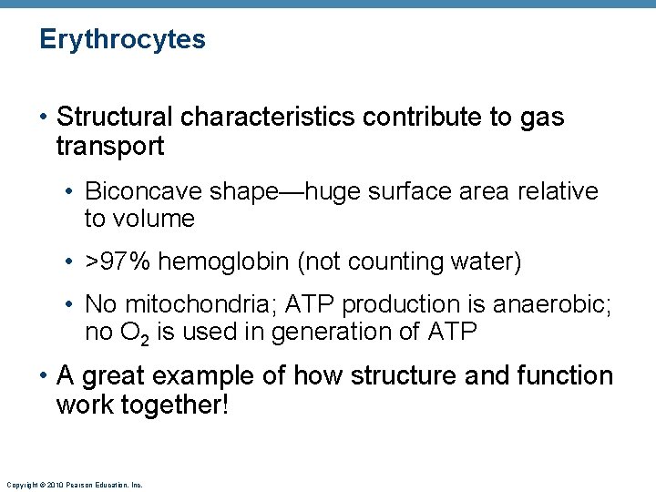 Erythrocytes • Structural characteristics contribute to gas transport • Biconcave shape—huge surface area relative