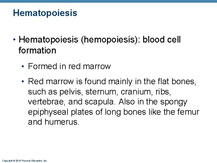 Hematopoiesis • Hematopoiesis (hemopoiesis): blood cell formation • Formed in red marrow • Red