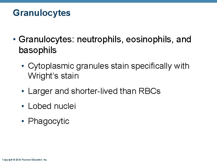 Granulocytes • Granulocytes: neutrophils, eosinophils, and basophils • Cytoplasmic granules stain specifically with Wright’s