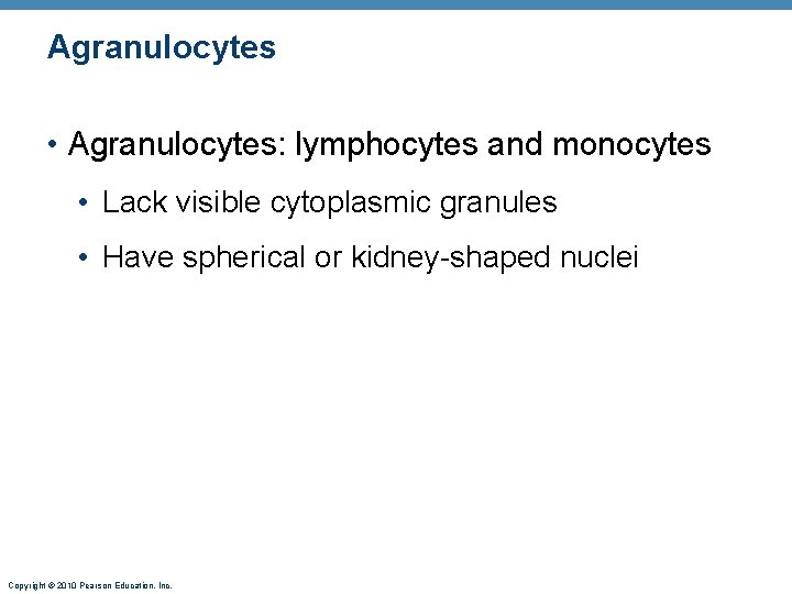 Agranulocytes • Agranulocytes: lymphocytes and monocytes • Lack visible cytoplasmic granules • Have spherical