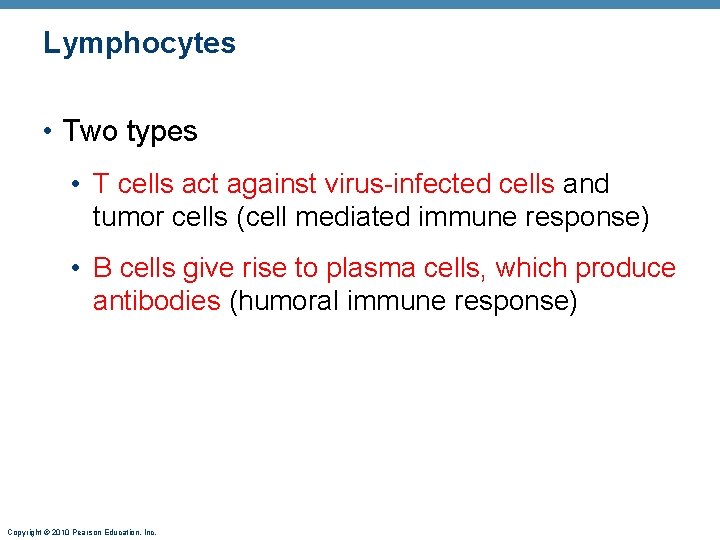 Lymphocytes • Two types • T cells act against virus-infected cells and tumor cells