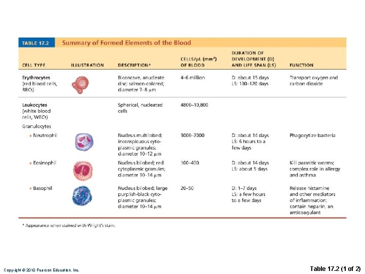 Copyright © 2010 Pearson Education, Inc. Table 17. 2 (1 of 2) 