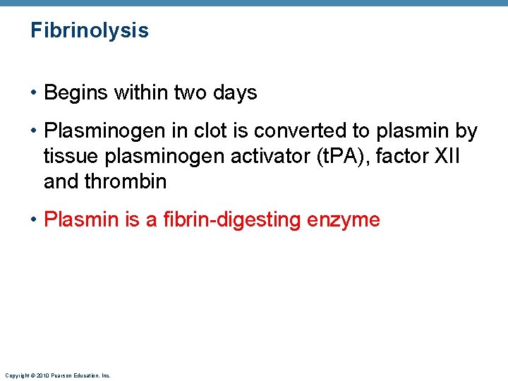 Fibrinolysis • Begins within two days • Plasminogen in clot is converted to plasmin