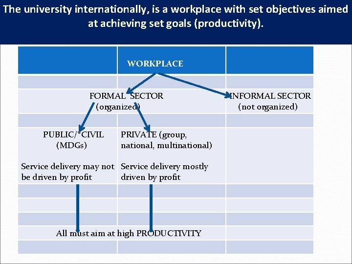 The university internationally, is a workplace with set objectives aimed at achieving set goals