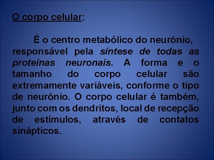 O corpo celular: É o centro metabólico do neurônio, responsável pela síntese de todas