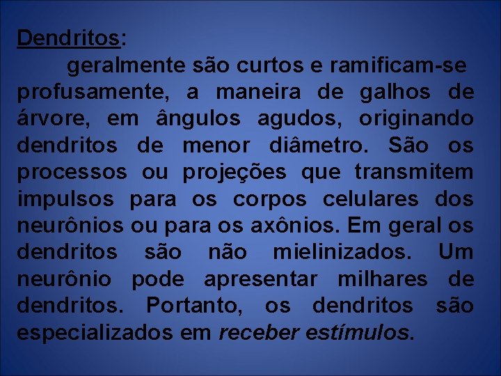 Dendritos: geralmente são curtos e ramificam-se profusamente, a maneira de galhos de árvore, em