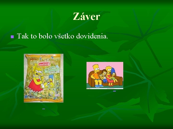Záver n Tak to bolo všetko dovidenia. 