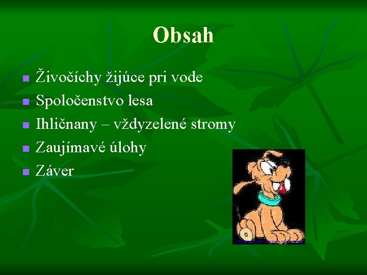 Obsah n n n Živočíchy žijúce pri vode Spoločenstvo lesa Ihličnany – vždyzelené stromy