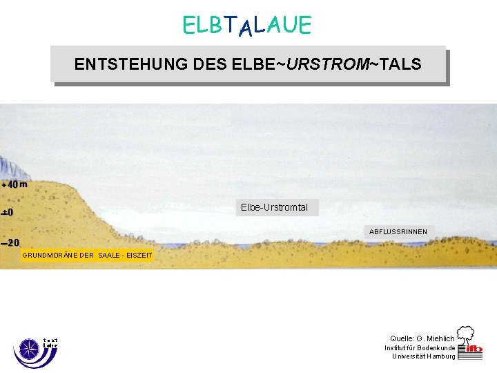 ELBTALAUE ENTSTEHUNG DES ELBE~URSTROM~TALS Ende der Weichsel–Eiszeit ca. 12. 000 Jahre v. Chr. +