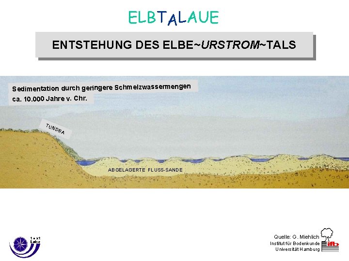 ELBTALAUE ENTSTEHUNG DES ELBE~URSTROM~TALS Sedimentation durch geringere Schmelzwassermengen ca. 10. 000 Jahre v. Chr.