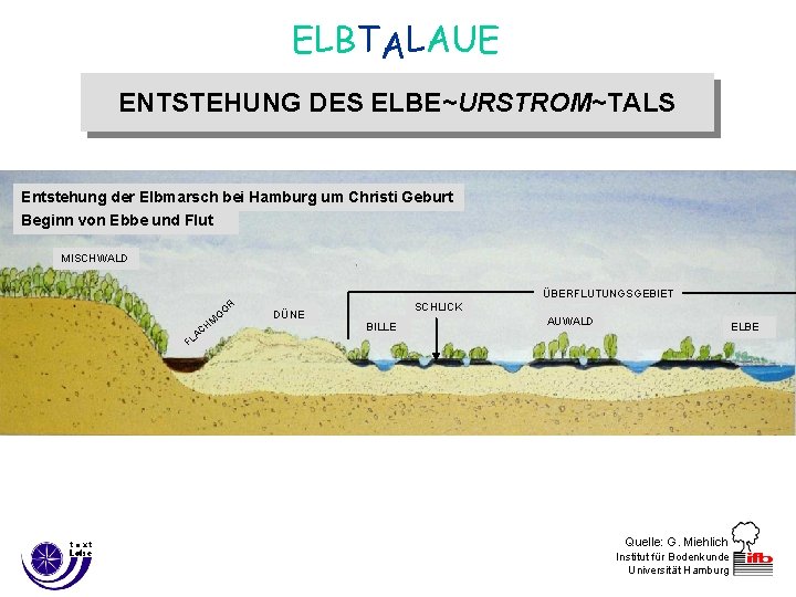 ELBTALAUE ENTSTEHUNG DES ELBE~URSTROM~TALS Entstehung der Elbmarsch bei Hamburg um Christi Geburt Beginn von