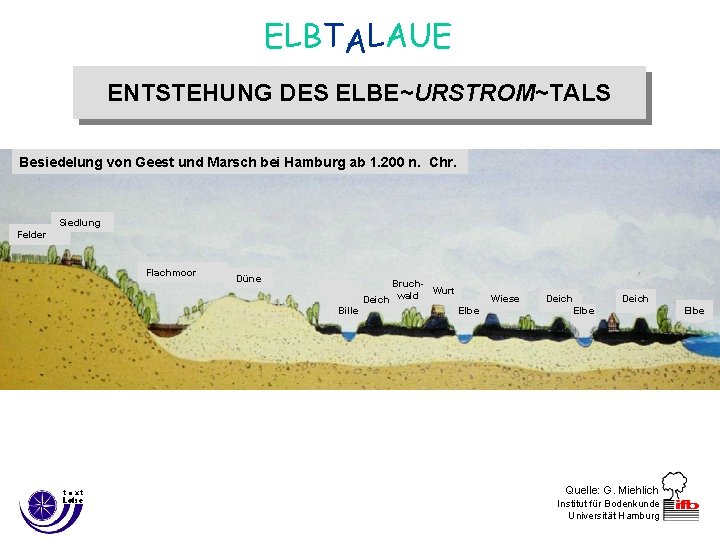 ELBTALAUE ENTSTEHUNG DES ELBE~URSTROM~TALS Besiedelungvon von. Geestund und. Marschab bei Hamburg Besiedlung 1200 n.