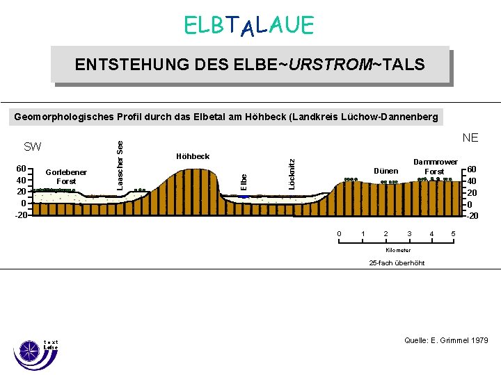 ELBTALAUE ENTSTEHUNG DES ELBE~URSTROM~TALS Gorlebener Forst Höhbeck Löcknitz 60 40 20 0 -20 NE