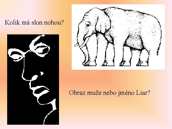 Kolik má slon nohou? Obraz muže nebo jméno Liar? 