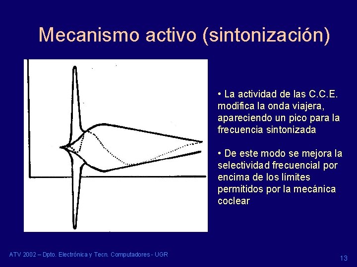 Mecanismo activo (sintonización) • La actividad de las C. C. E. modifica la onda